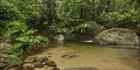 Wurrmbu Creek - Mossman Gorge - QLD SQ (PBH4 00 17000)